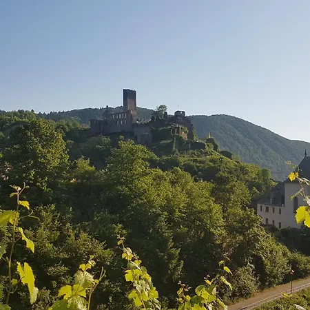 Im Beilsteiner Muehlental * Beilstein (Rhineland-Palatinate)
