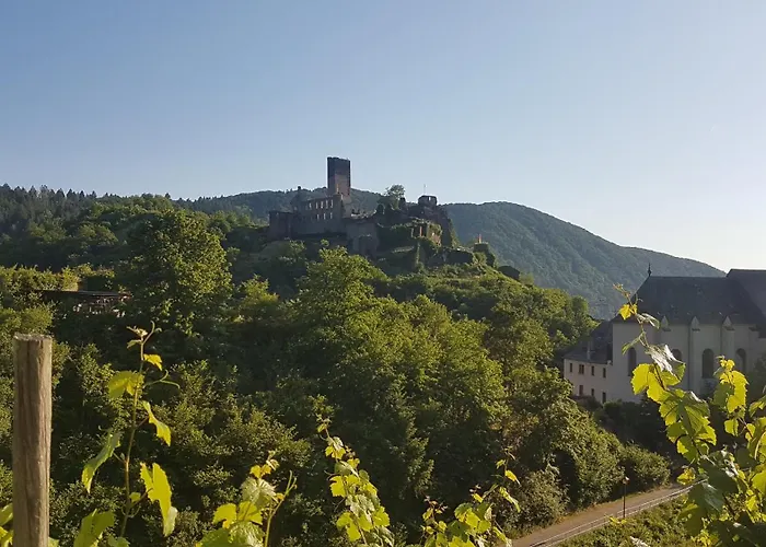 Im Beilsteiner Muehlental * Beilstein (Rhineland-Palatinate)